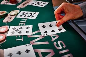 dk55 Diverse Slots from Leading Studios on dk55